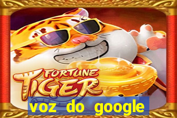 voz do google tradutor homem