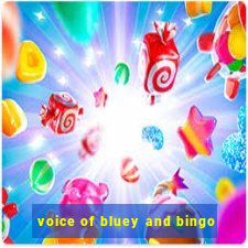 voice of bluey and bingo