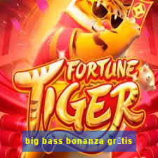 big bass bonanza gr谩tis