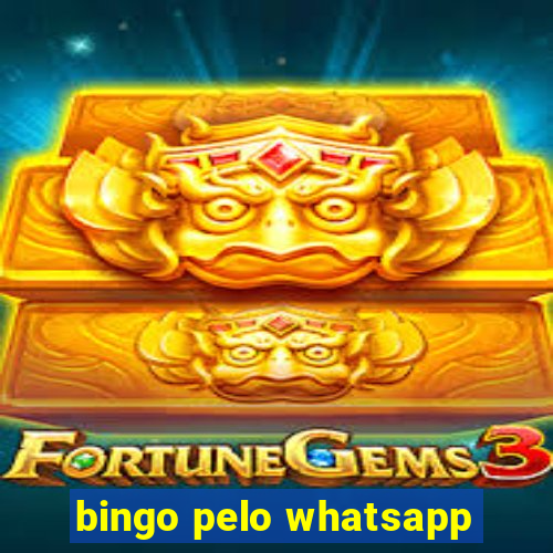 bingo pelo whatsapp