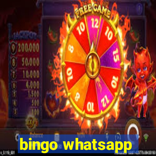 bingo whatsapp