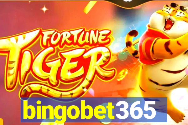 bingobet365