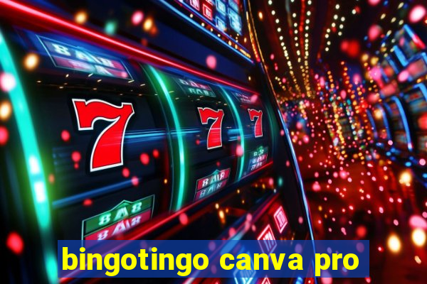 bingotingo canva pro