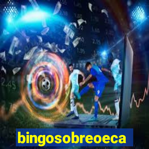 bingosobreoeca