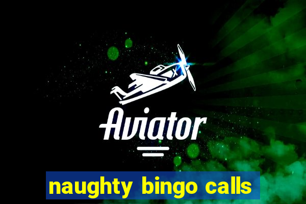 naughty bingo calls