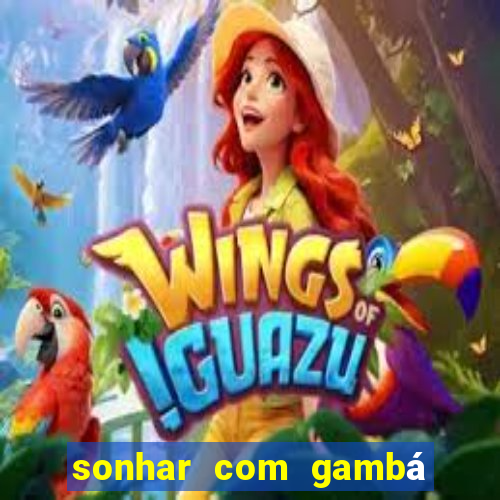 sonhar com gambá jogo do bicho