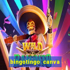 bingotingo canva pro gratis