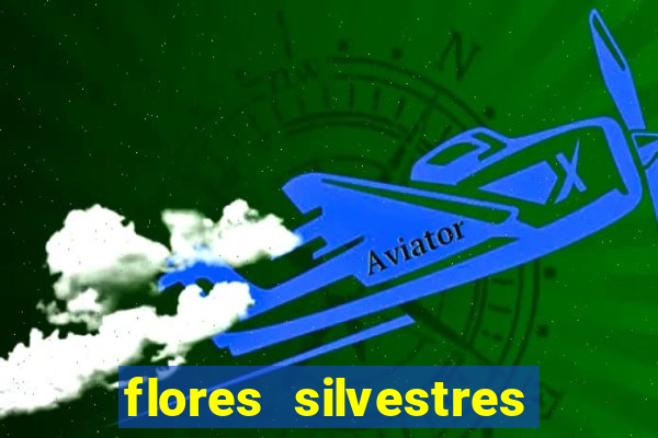 flores silvestres desbravadores desbravadores 25