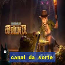 canal da sorte bingo de hoje