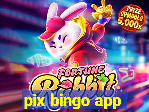 pix bingo app