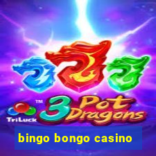 bingo bongo casino