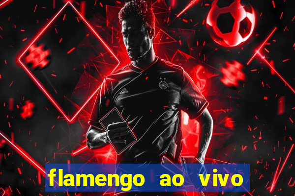 flamengo ao vivo hd play