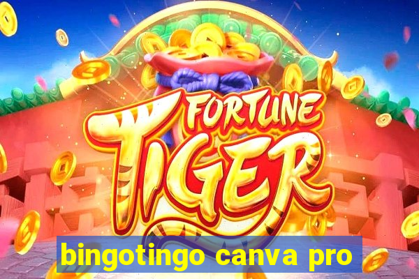 bingotingo canva pro