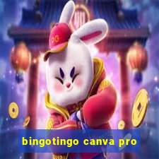 bingotingo canva pro