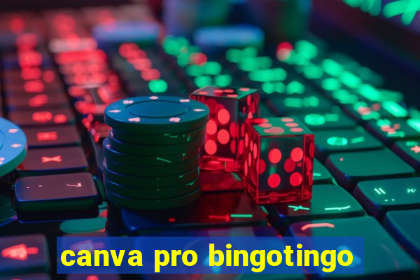 canva pro bingotingo