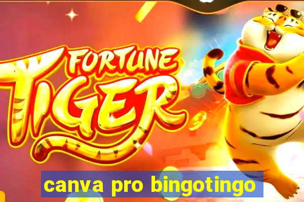 canva pro bingotingo