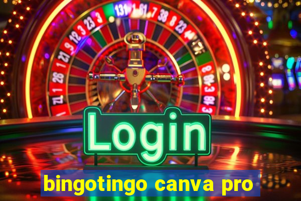 bingotingo canva pro