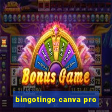 bingotingo canva pro